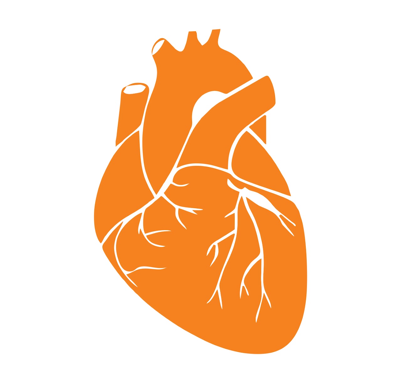 Cardiologia