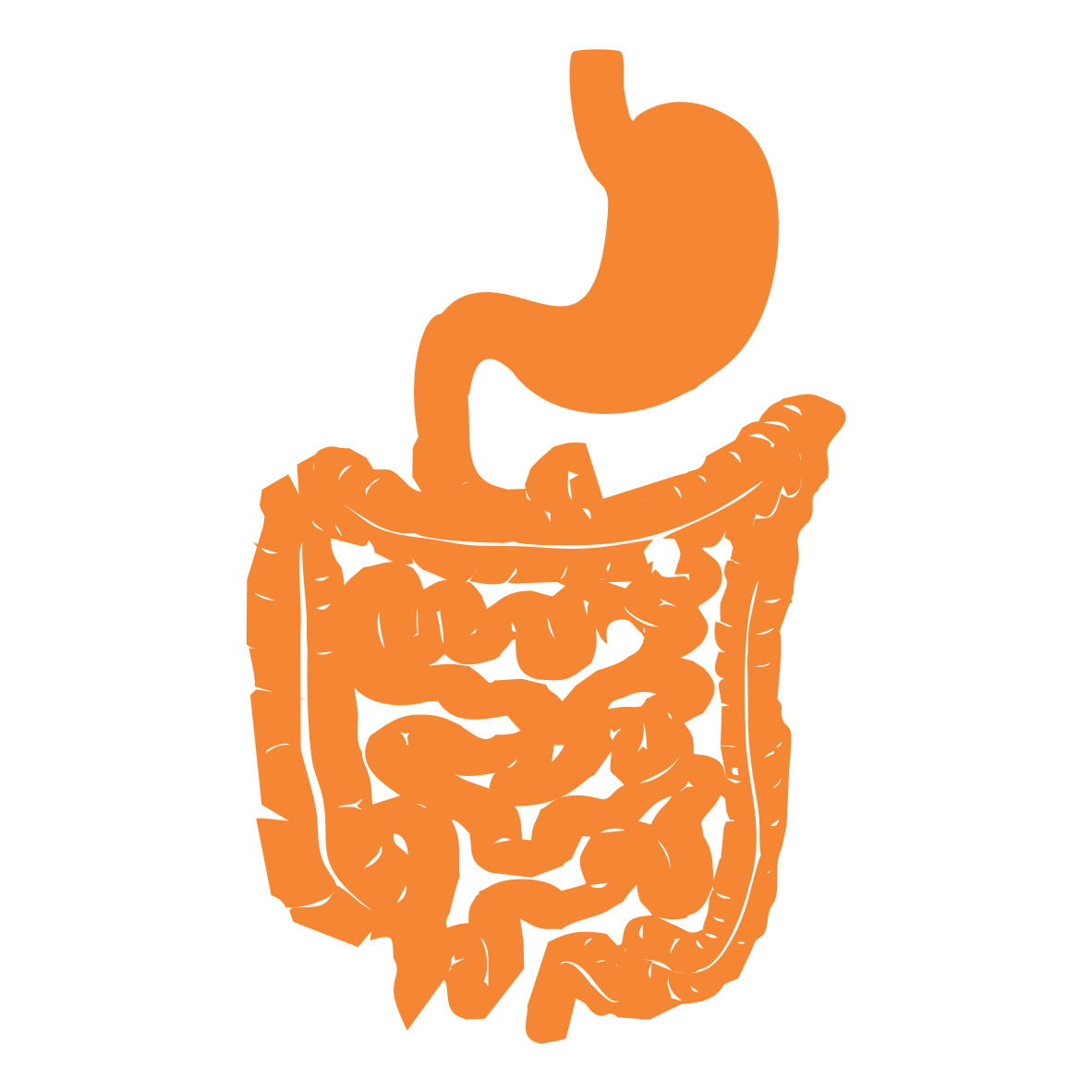 Gastro